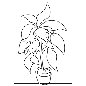 squiggle drawing of a plant